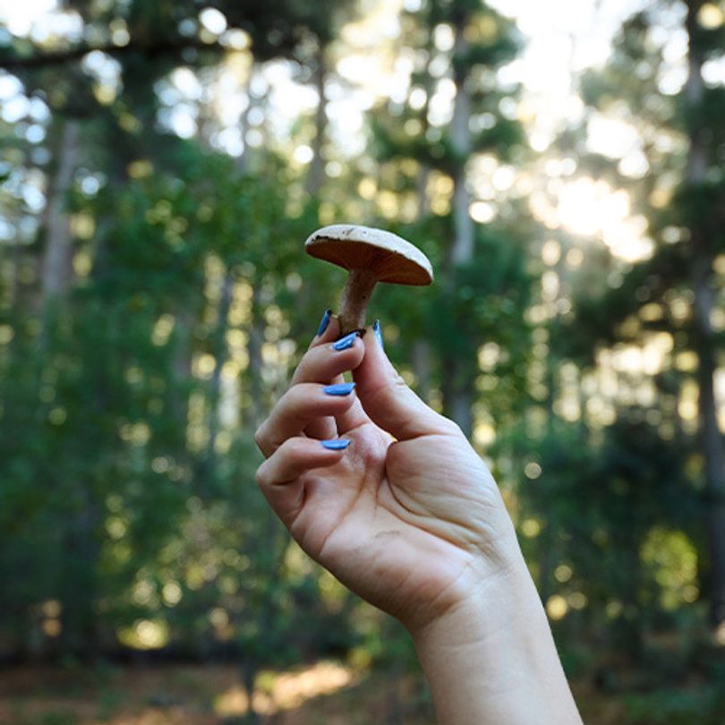 Safe & Clean Raw Material Backed By Science: